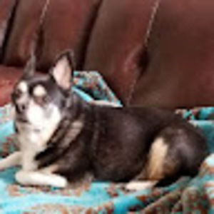 Meet your Posher, April